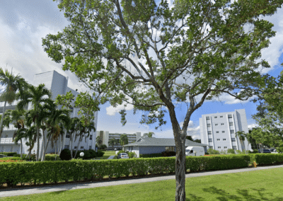 Meadowbrook Lakes View C Dania Beach